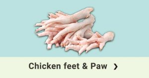 chicken feet and paw